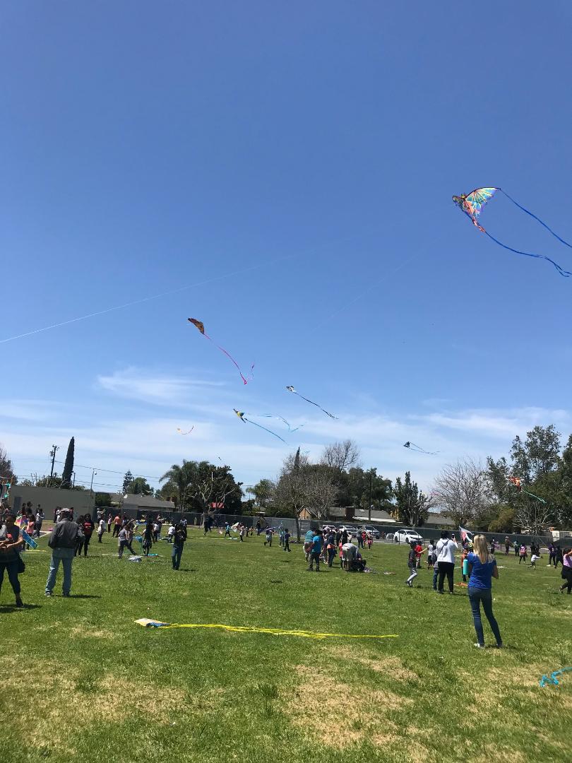 It's a beautiful day to get outside and enjoy Violette's annual kite day!