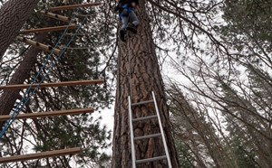 Sixth Grade Outdoor Science School - article thumnail image